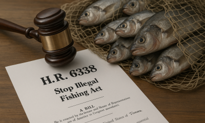 H.R.&nbsp;6338&nbsp;(RFS) - Stop Illegal Fishing Act