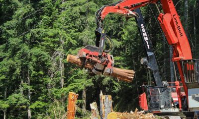 Logging excavator lifting cut logs in forest