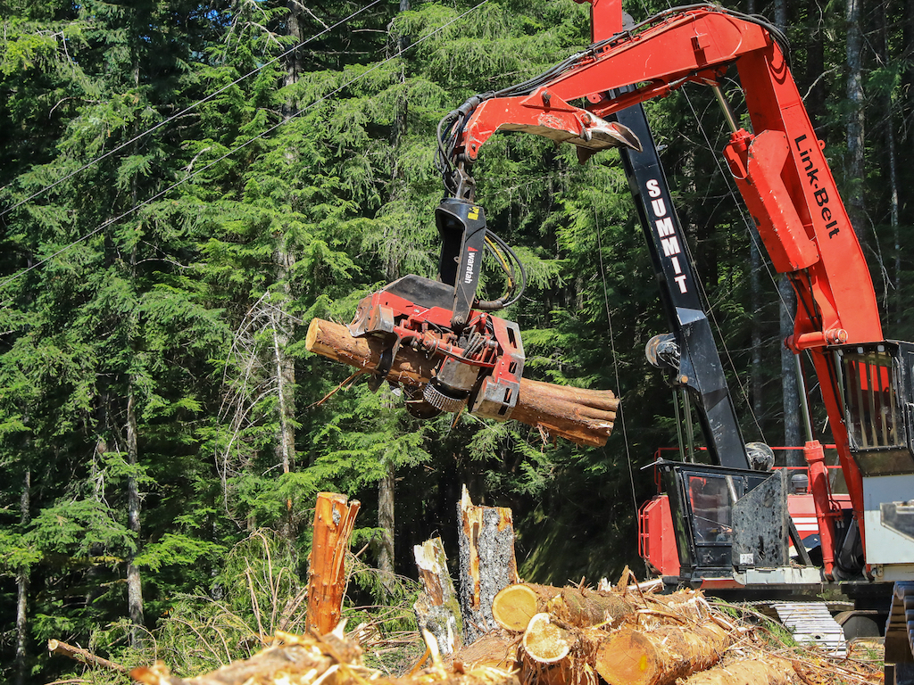 Logging excavator lifting cut logs in forest