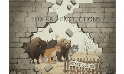 Federal Rollback of Endangered Species Habitat Protections Raises Concerns Among States