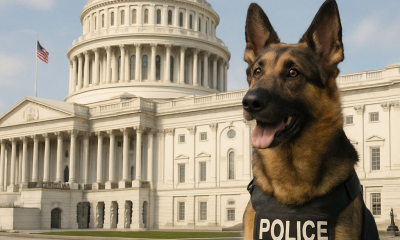 K-9 Hero Act of 2026 Introduced in Congress