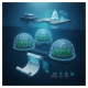 Marine Aquaculture Research for America Act of 2026 Introduced