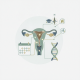 Illustration depicting reproductive health concepts, including a uterus, calendar, DNA — teen pregnancy prevention program