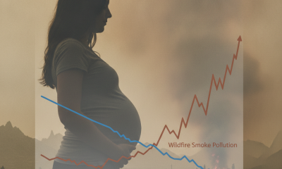 Wildfire Smoke Erasing Decades of Air Quality Gains for Pregnant Women, Study Finds