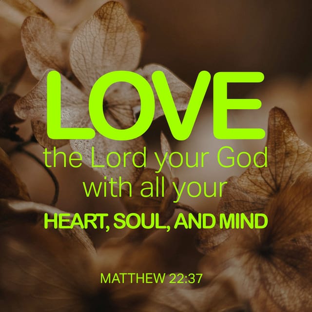 Matthew 22:37 — Daily Bible Verse