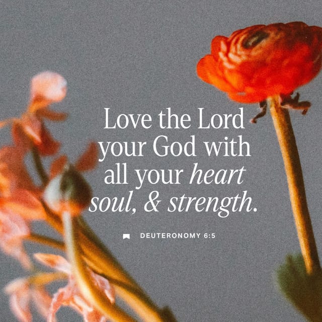Deuteronomy 6:5 — Daily Bible Verse