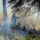 A firefighter using a drip torch to ignite controlled burns in a forested area, surrounded — Roslyn WA wildfire prevention