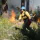 Firefighter conducting a prescribed burn in Washington, managing flames with a fire extingui — prescribed burns Washington