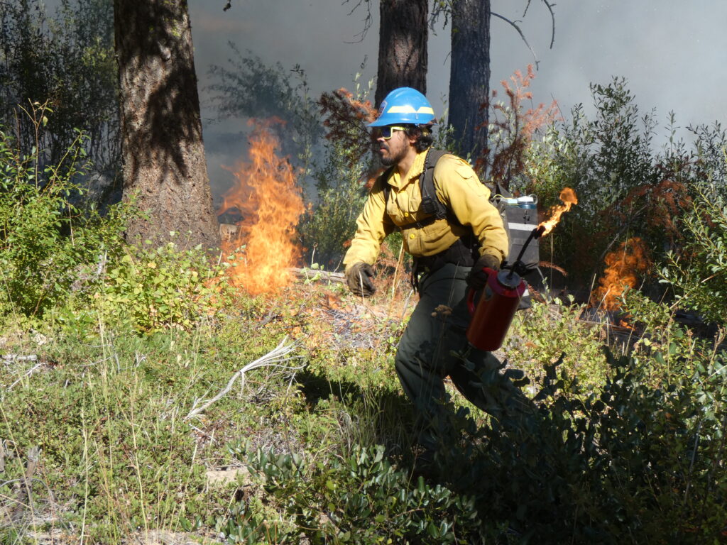 Firefighter conducting a prescribed burn in Washington, managing flames with a fire extingui — prescribed burns Washington