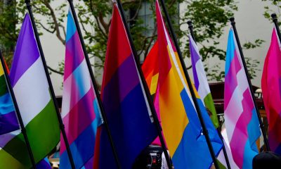 Colorful LGBTQ+ flags waving at a public event, symbolizing pride and diversity. — LGBTQ healthcare survey