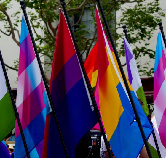 Colorful LGBTQ+ flags waving at a public event, symbolizing pride and diversity. — LGBTQ healthcare survey