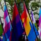 Colorful LGBTQ+ flags waving at a public event, symbolizing pride and diversity. — LGBTQ healthcare survey