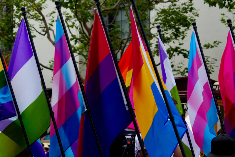 Colorful LGBTQ+ flags waving at a public event, symbolizing pride and diversity. — LGBTQ healthcare survey