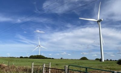 Federal Judge Orders Pentagon to Resume Security Reviews for Stalled Wind Energy Projects