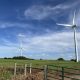 Federal Judge Orders Pentagon to Resume Security Reviews for Stalled Wind Energy Projects