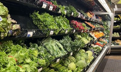 A grocery store produce section filled with various types of lettuce and greens, highlighting multistate food recalls.