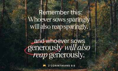 Text from 2 Corinthians 9:6 on a forest background, emphasizing generosity in giving. — 2 Corinthians 9:6 meaning