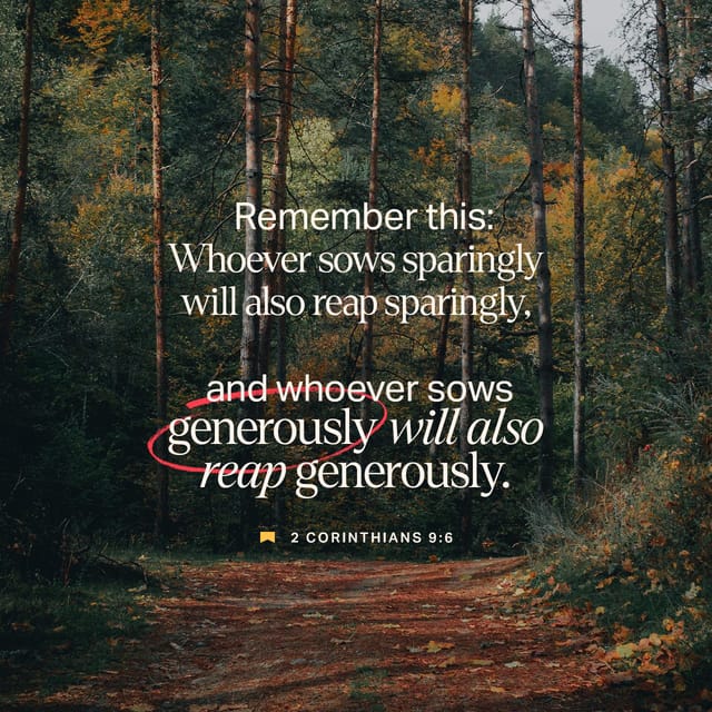 Text from 2 Corinthians 9:6 on a forest background, emphasizing generosity in giving. — 2 Corinthians 9:6 meaning