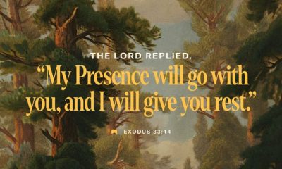 Artistic depiction of a serene forest with the text of Exodus 33:14 overlayed, conveying peace and — Exodus 33:14 Meaning