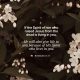 Text from Romans 8:11 overlaid on a background of white flowers and green leaves, conveying a messag — Romans 8 11 meaning