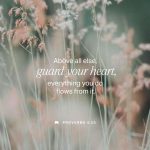 A blurred background of grass with the text 'Above all else, guard your heart, everything you do f — Proverbs 4 23 meaning