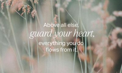 A blurred background of grass with the text 'Above all else, guard your heart, everything you do f — Proverbs 4 23 meaning