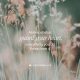 A blurred background of grass with the text 'Above all else, guard your heart, everything you do f — Proverbs 4 23 meaning