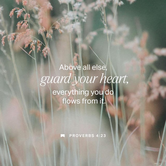 A blurred background of grass with the text 'Above all else, guard your heart, everything you do f — Proverbs 4 23 meaning