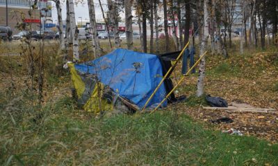 A makeshift tent in a grassy area surrounded by trees, highlighting homelessnes — trump administration homelessness grants