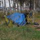 A makeshift tent in a grassy area surrounded by trees, highlighting homelessnes — trump administration homelessness grants