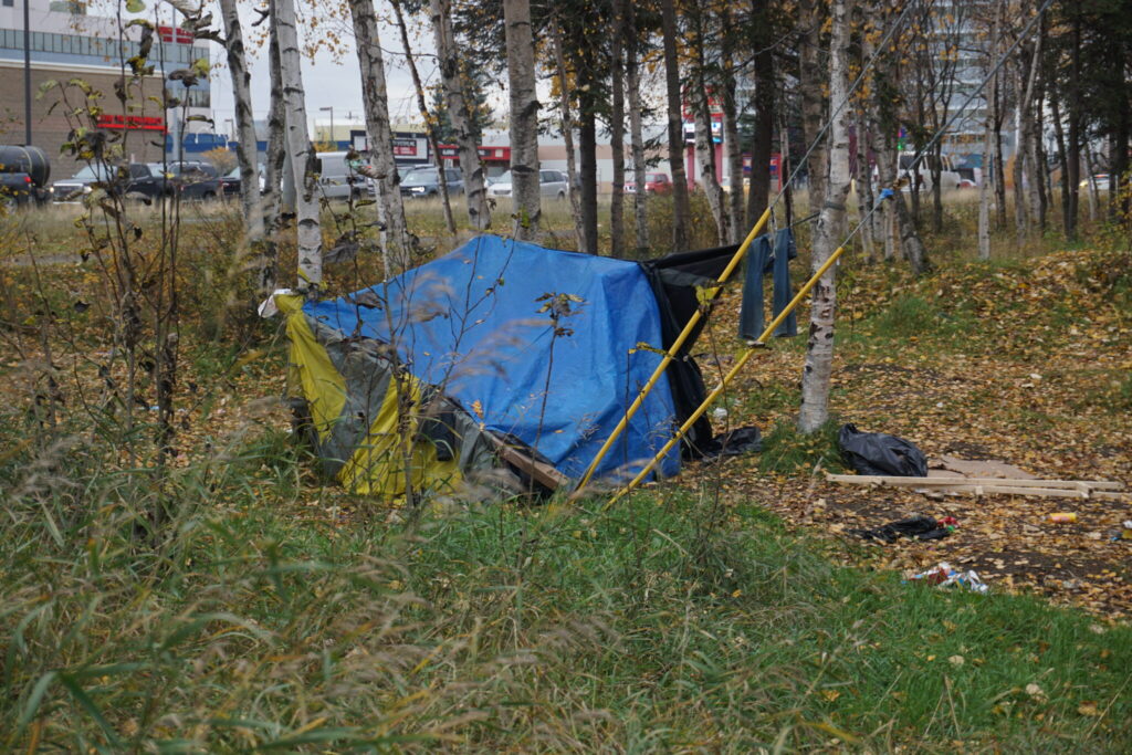 A makeshift tent in a grassy area surrounded by trees, highlighting homelessnes — trump administration homelessness grants