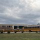 Hammond High School with yellow school buses parked outside under a cloudy sky. — Violent Victimization at School 2024