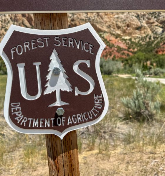 Sign for the U.S. Forest Service Department of Agriculture in a natural — Forest Service Headquarters Move to Utah Blocked