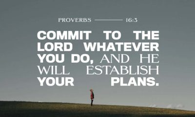 Proverbs 16 3 meaning: a lone person stands on a grassy hill beneath a verse about committing plans to the Lord.