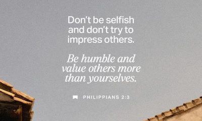 Philippians 2 3 daily bible verse about humility over a gray sky, birds, and tiled rooftops