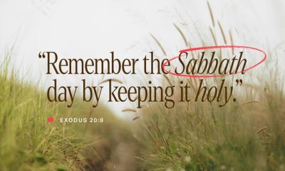 Text of Exodus 20:8 on a blurred grassy background, emphasizing the Sabbath's significance. — Exodus 20 8 meaning