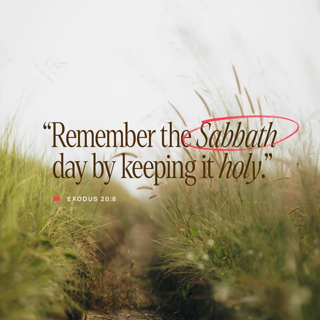 Text of Exodus 20:8 on a blurred grassy background, emphasizing the Sabbath's significance. — Exodus 20 8 meaning