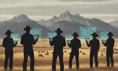 Silhouetted ranchers with tablets observe cattle in a Colorado landscape, highlighting HR 10735 cattle crop insurance.