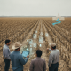 Farmers examine a dry, cracked field as digital aid documents link it t — South Texas Agriculture Emergency Assistance Act