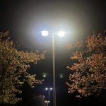 Bright LED streetlights illuminate autumn trees at night, illustrating the Newark New Jersey streetlight crime study.