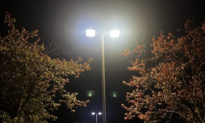 Bright LED streetlights illuminate autumn trees at night, illustrating the Newark New Jersey streetlight crime study.
