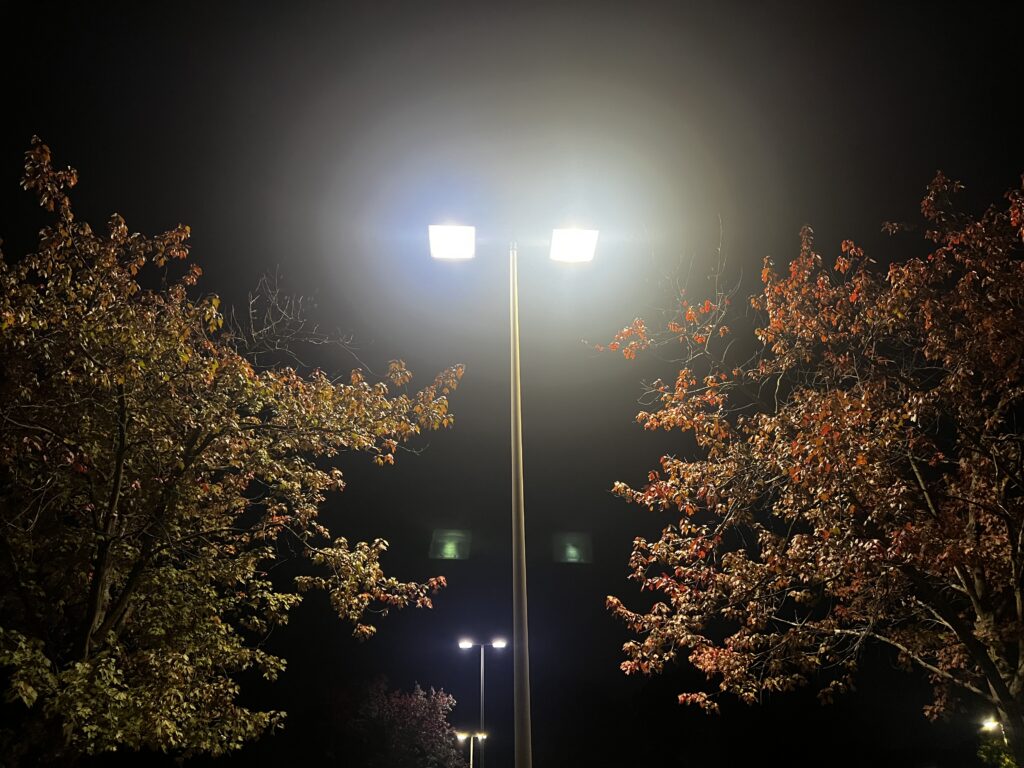 Bright LED streetlights illuminate autumn trees at night, illustrating the Newark New Jersey streetlight crime study.