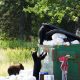 Human Bear Conflicts: two black bears rummage through an overflowing dumpster in a wooded area.